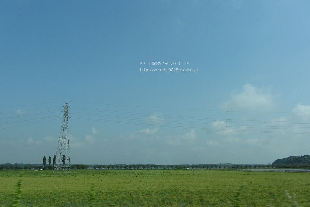 e0052135_23133315.jpg