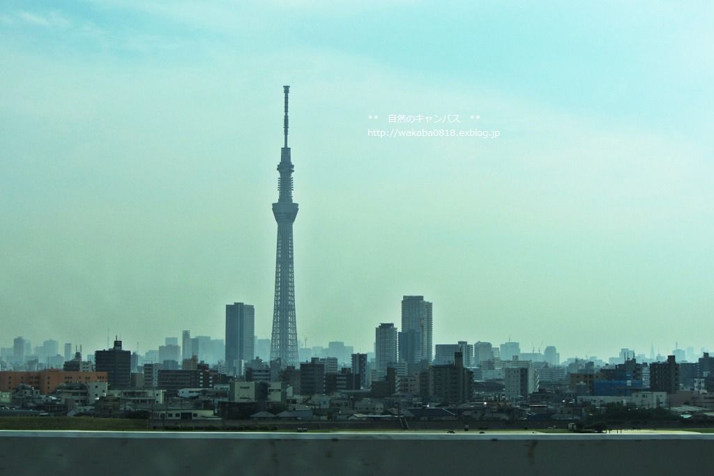 e0052135_231347.jpg