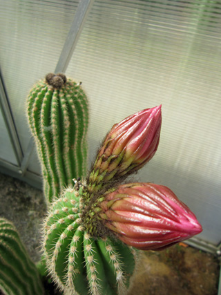 f0234936_1214640.jpg