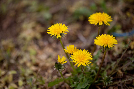 d0244839_23144181.jpg