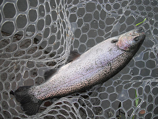 f0065341_19164150.jpg