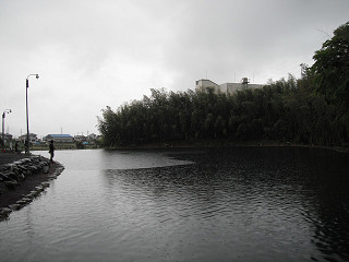 f0065341_19174359.jpg