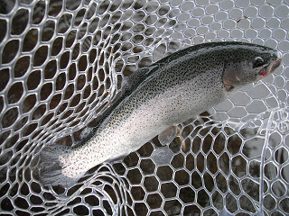 f0065341_1918266.jpg