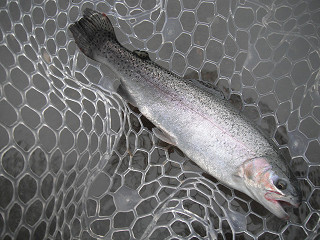 f0065341_19184016.jpg
