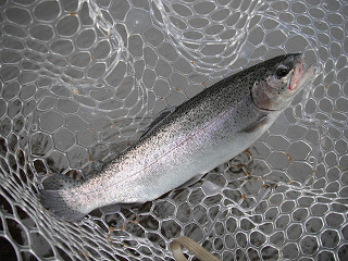 f0065341_19185188.jpg