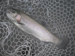 f0065341_19203736.jpg