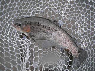 f0065341_192117.jpg