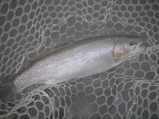 f0065341_19221482.jpg