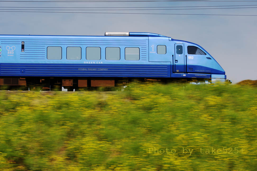 a0116946_23461556.jpg