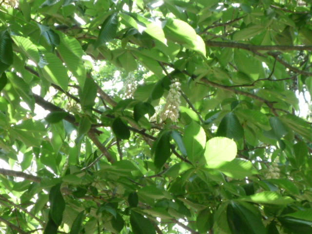 b0238249_15582493.jpg
