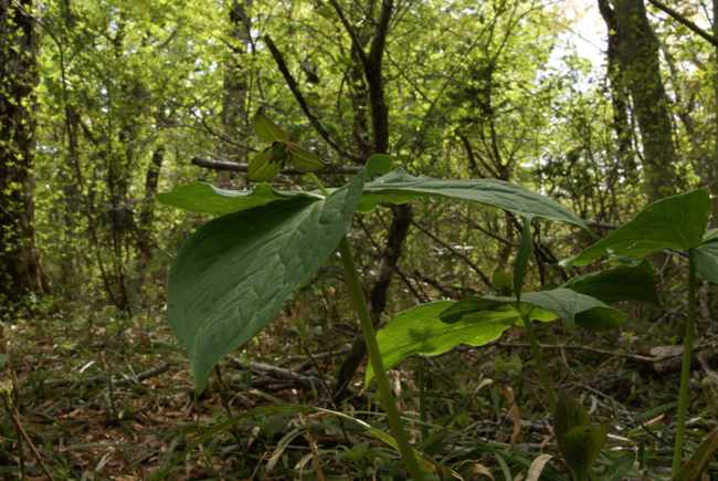 f0214649_20204252.jpg