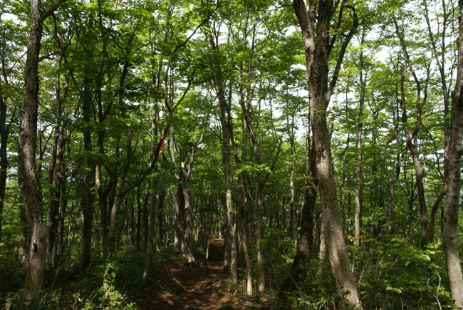 f0214649_20214769.jpg