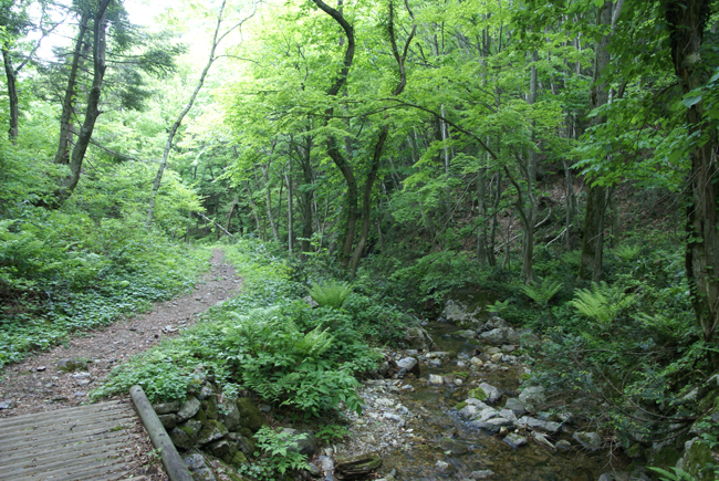 f0214649_20342796.jpg