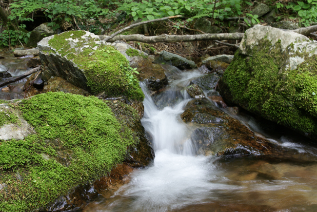 f0214649_20381033.jpg