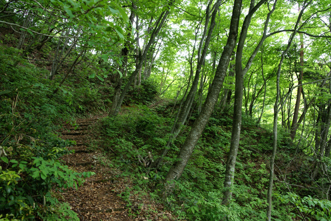 f0214649_2039515.jpg
