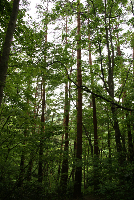 f0214649_2040508.jpg