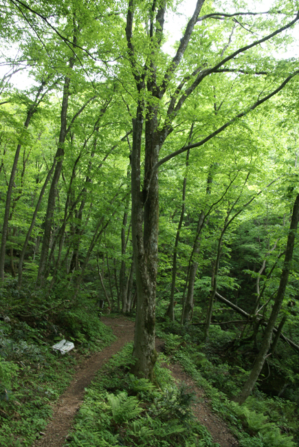 f0214649_2041296.jpg