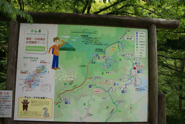 f0214649_20422355.jpg