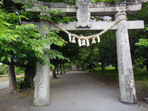 c0179351_18561149.jpg