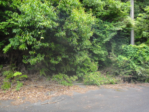 c0179351_22104515.jpg