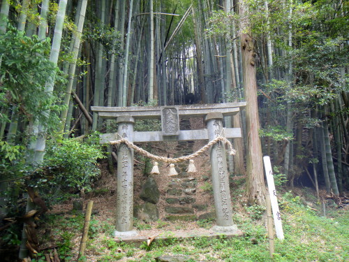 c0179351_2239264.jpg