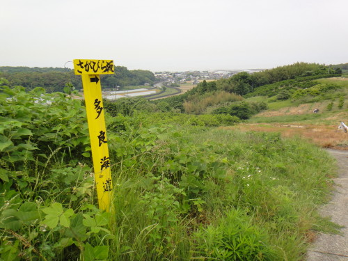 c0179351_2248970.jpg