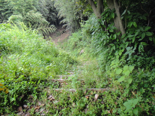 c0179351_22551455.jpg