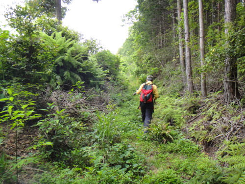 c0179351_2283694.jpg