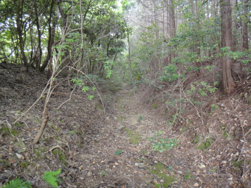 c0179351_2291353.jpg