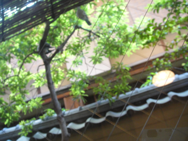 f0172458_222516100.jpg