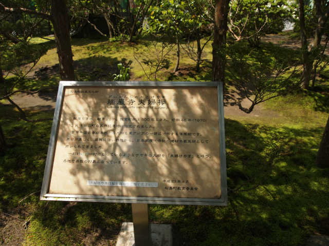 d0152261_014519.jpg