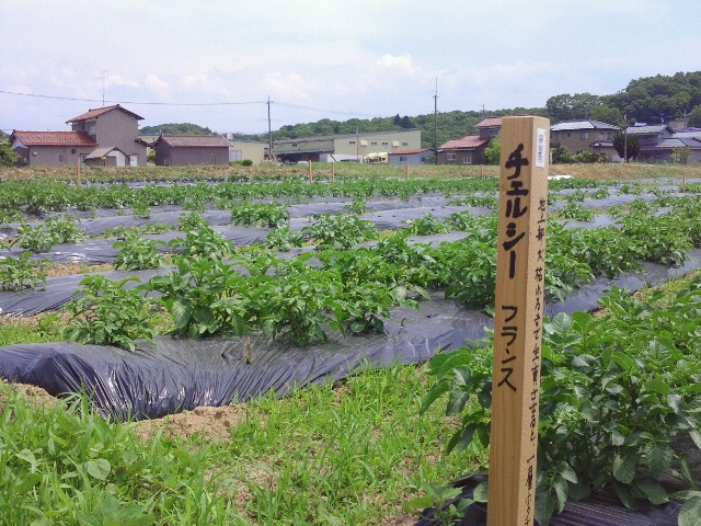 a0238063_1456514.jpg