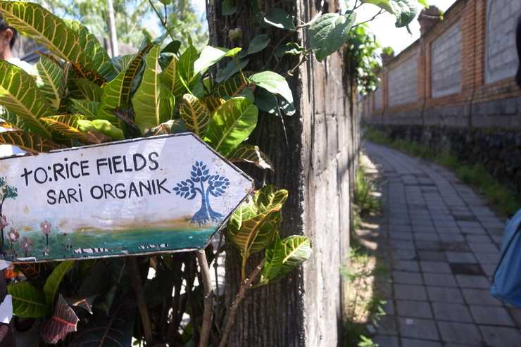 c0217364_1543513.jpg