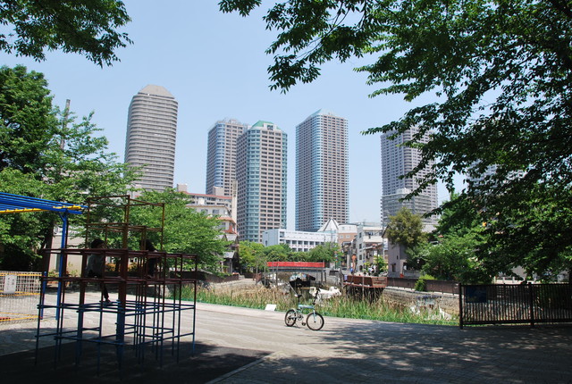 b0174068_1124996.jpg