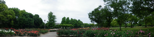 e0143671_16162552.jpg