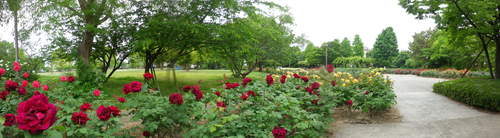 e0143671_16222856.jpg