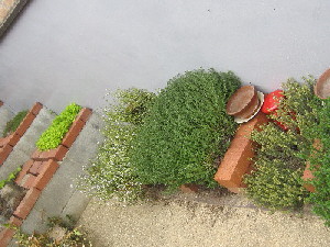 c0208974_21562045.jpg