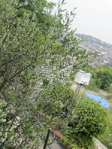 c0208974_2242724.jpg