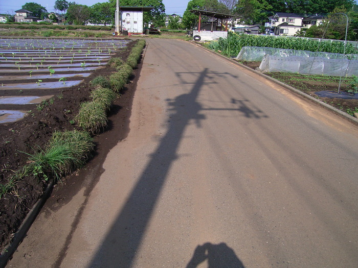 d0225575_8181359.jpg