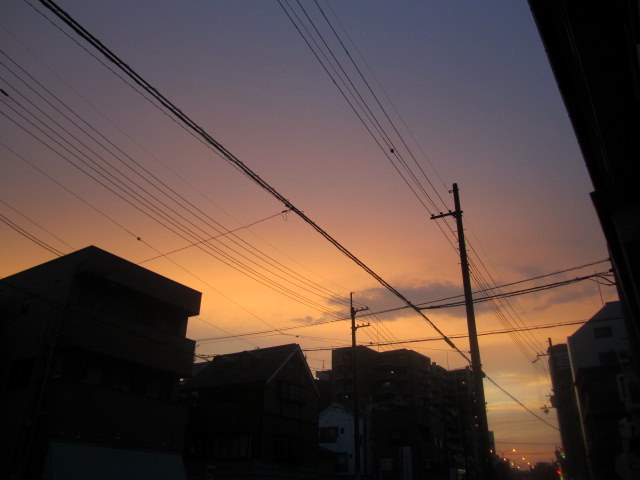 b0245877_1337.jpg