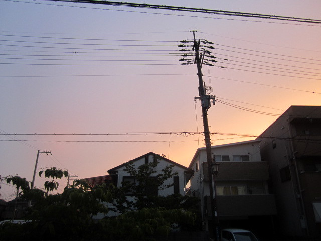 b0245877_135268.jpg