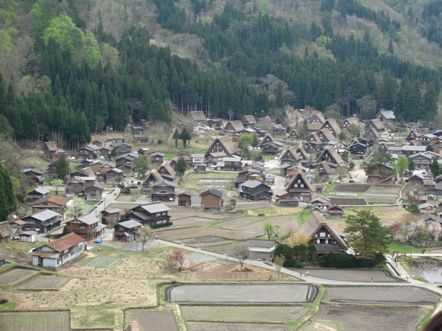 a0091680_16481299.jpg