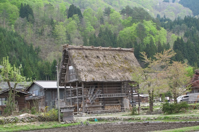 a0091680_1651199.jpg