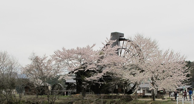a0091680_17163432.jpg