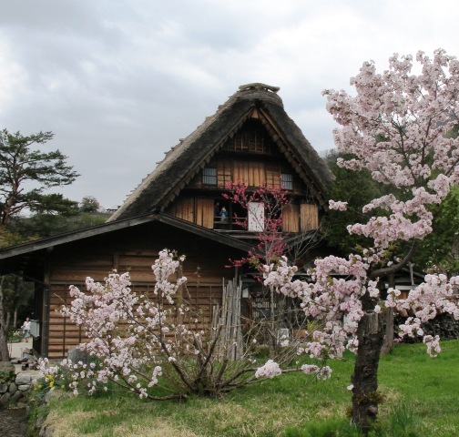 a0091680_17363247.jpg