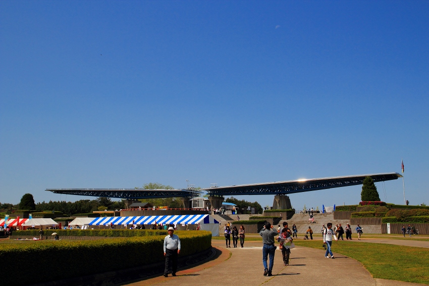 d0040882_18165865.jpg
