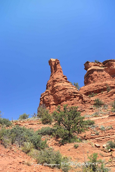 e0148185_12551372.jpg