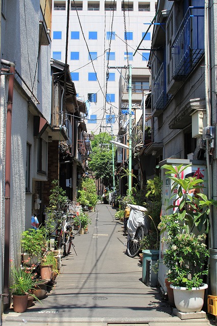 b0238886_1974875.jpg