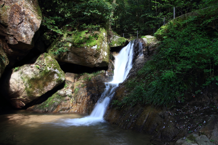 e0051888_6194486.jpg