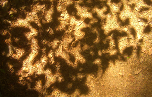 b0099994_1812730.jpg